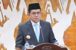 Kajian Pengembangan Geotermal di Pulau Flores