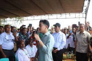 Gibran Puji Amran Sulaiman Selalu Turun ke Sawah