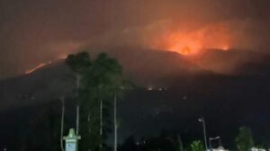 Menteri LHK Ingatkan Potensi Kebakaran Lahan