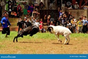 Adu Domba: Taktik Kotor Pemecah Belah dan Cara Melawannya