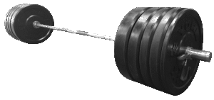 Barbell: Pilar Utama Kekuatan dan Kondisi Fisik – Panduan Lengkap dari e-media.co.id