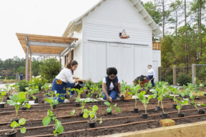 Berkebun: Peluang Bisnis Menguntungkan yang Tumbuh Subur di Era Modern