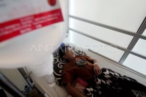 Kasus DBD Meningkat: Ancaman Kesehatan Masyarakat yang Semakin Nyata