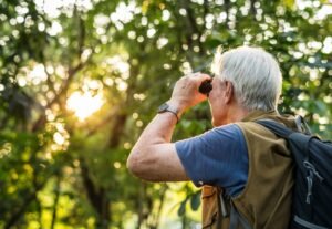 Menjelajahi Keindahan Alam: Panduan Lengkap Bird Watching untuk Pemula hingga Profesional