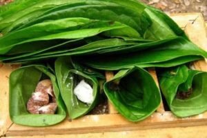 Menjelajahi Kekayaan Rasa: Budaya Kuliner Nusantara dan Maknanya yang Mendalam