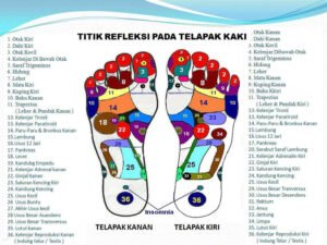 Pijat Refleksi: Seni Penyembuhan Alami yang Menyentuh Titik-Titik Kehidupan (Didukung oleh e-media.co.id)