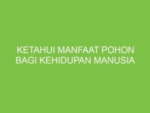 Pohon: Pilar Kehidupan dan Penjaga Bumi yang Tak Ternilai Harganya