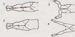 Renang Gaya Dada: Teknik, Manfaat, dan Tips untuk Pemula (e-media.co.id)