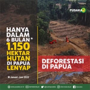 Deforestasi di Zona Konflik: Lingkaran Setan Kerusakan Lingkungan dan Ketidakstabilan