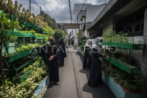 Pertanian Vertikal: Secercah Harapan di Tengah Konflik (e-media.co.id)
