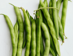 Buncis sebagai Sumber Gizi Penting untuk Kesehatan