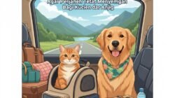 Panduan Mengajak Hewan Peliharaan Liburan Bersama Agar Perjalanan Tetap Menyenangkan Bagi Kucing dan Anjing