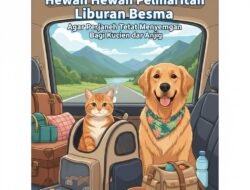 Panduan Mengajak Hewan Peliharaan Liburan Bersama Agar Perjalanan Tetap Menyenangkan Bagi Kucing dan Anjing